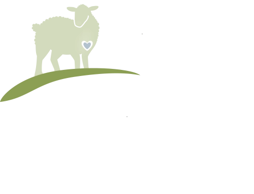 Good Shepherd Center Food Pantry